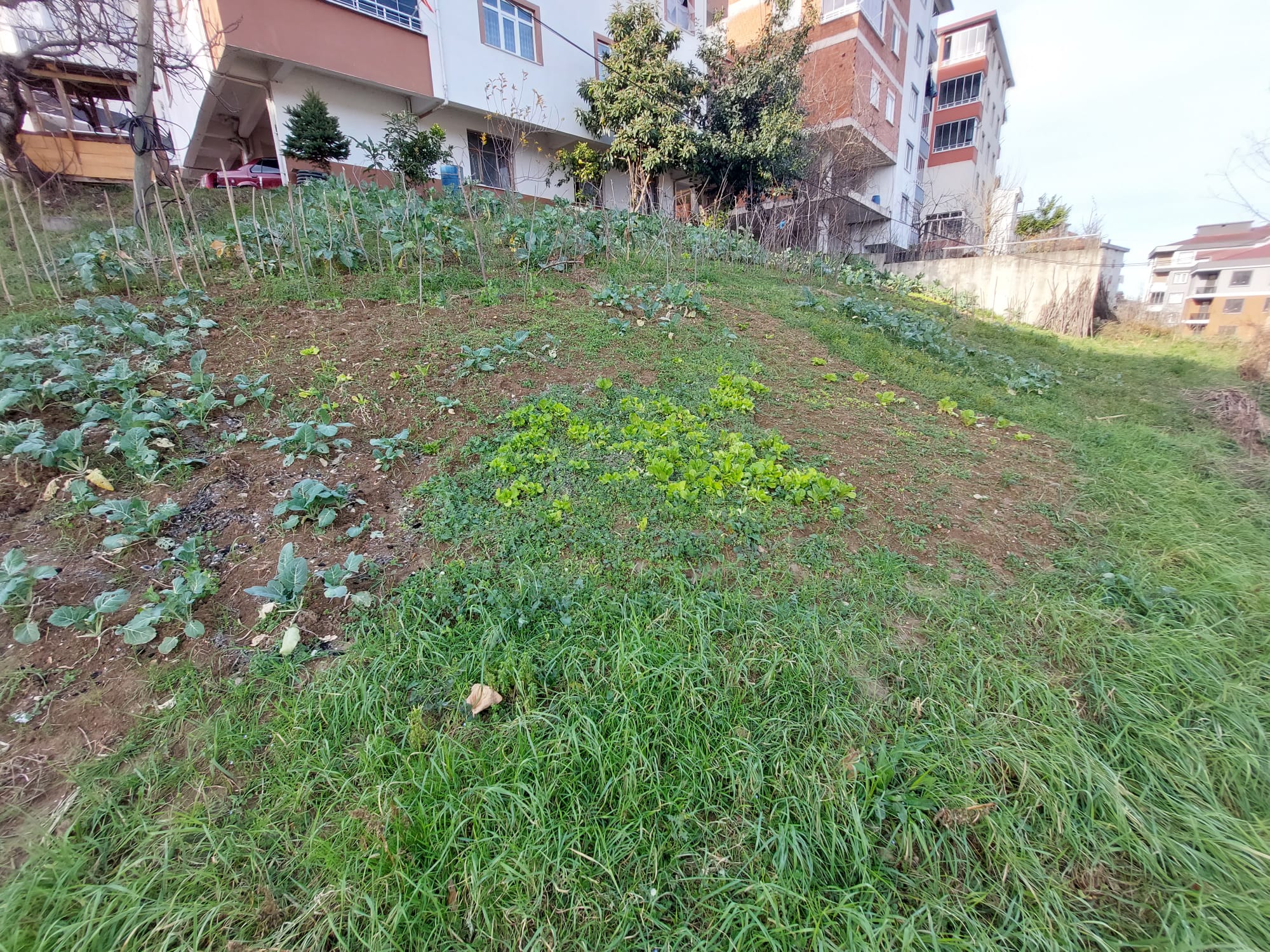 NİZAM BEY ARSA KARACAÖMER